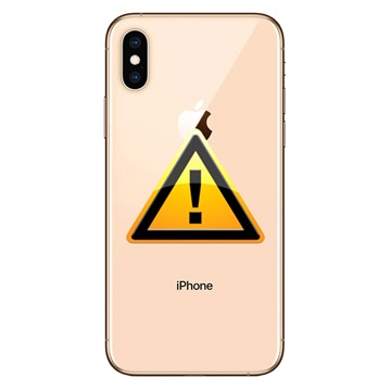 iPhone XS Bak Skal Reparation - inkl. ram - Guld