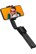 Selfiepinne